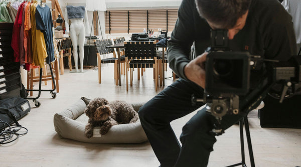 Med hunden på arbejde: Hos fotografen