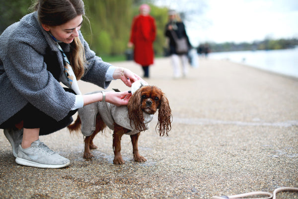 Derfor er en tørredragt god for dig og din hund