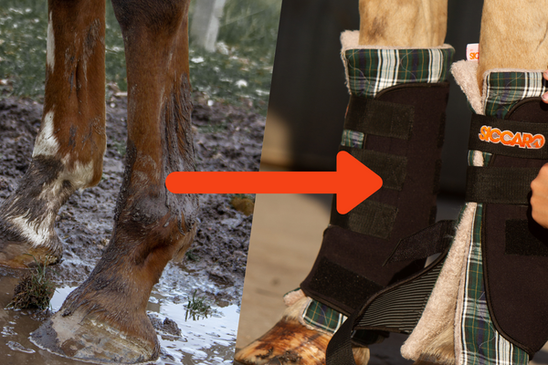 Hvorfor tørre hestens ben med tørregamacher og ikke et håndklæde?