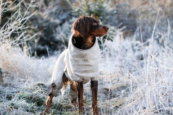 Fryser hunde ligesom mennesker?