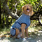 Denim Summer Edition / 45