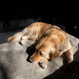 Siccaro FlexDog Mat Light - 70x110 Drying Mats