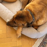 Siccaro Siccaro X FossFlakes Hundeseng Dog bed