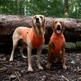 Siccaro Pro-tect Advanced - L Warming coats