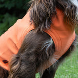 Siccaro Pro-tect Advanced - M Warming coats