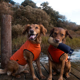 Siccaro Pro-tect Pro - Large dogs Warming coats