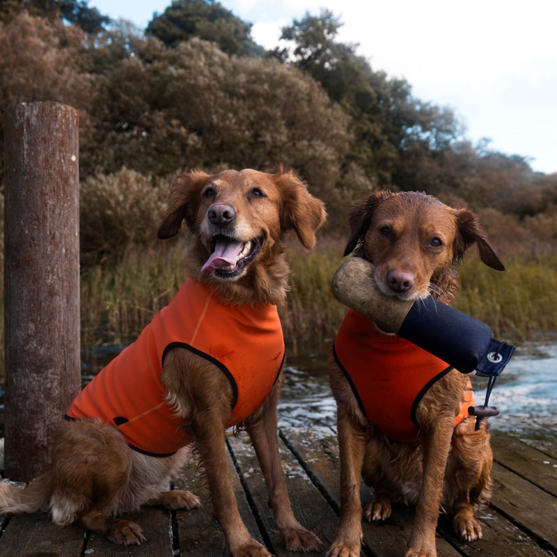 Siccaro Pro-tect Pro - Large dogs Warming coats