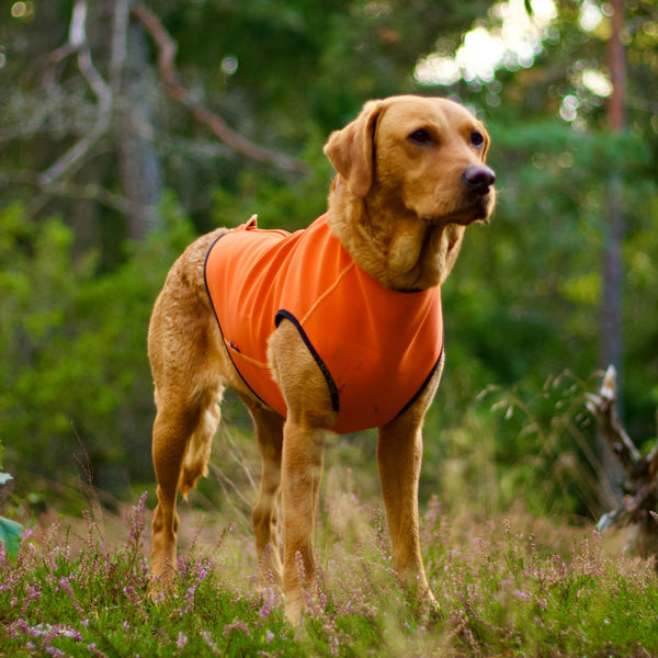 Siccaro Pro-tect Pro - Large dogs Warming coats