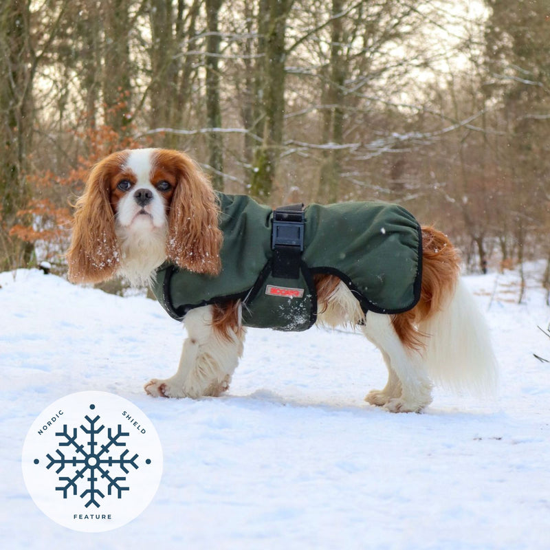 Siccaro RainForce / 35 Rain coats