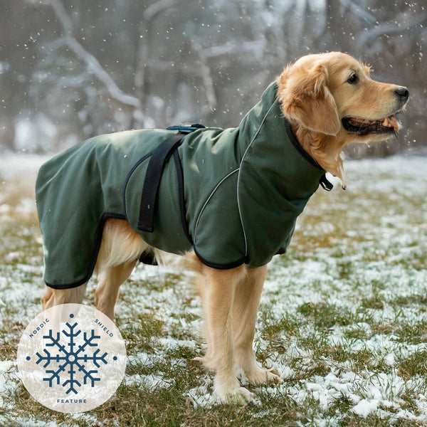 Siccaro RainForce / 60 Rain coats