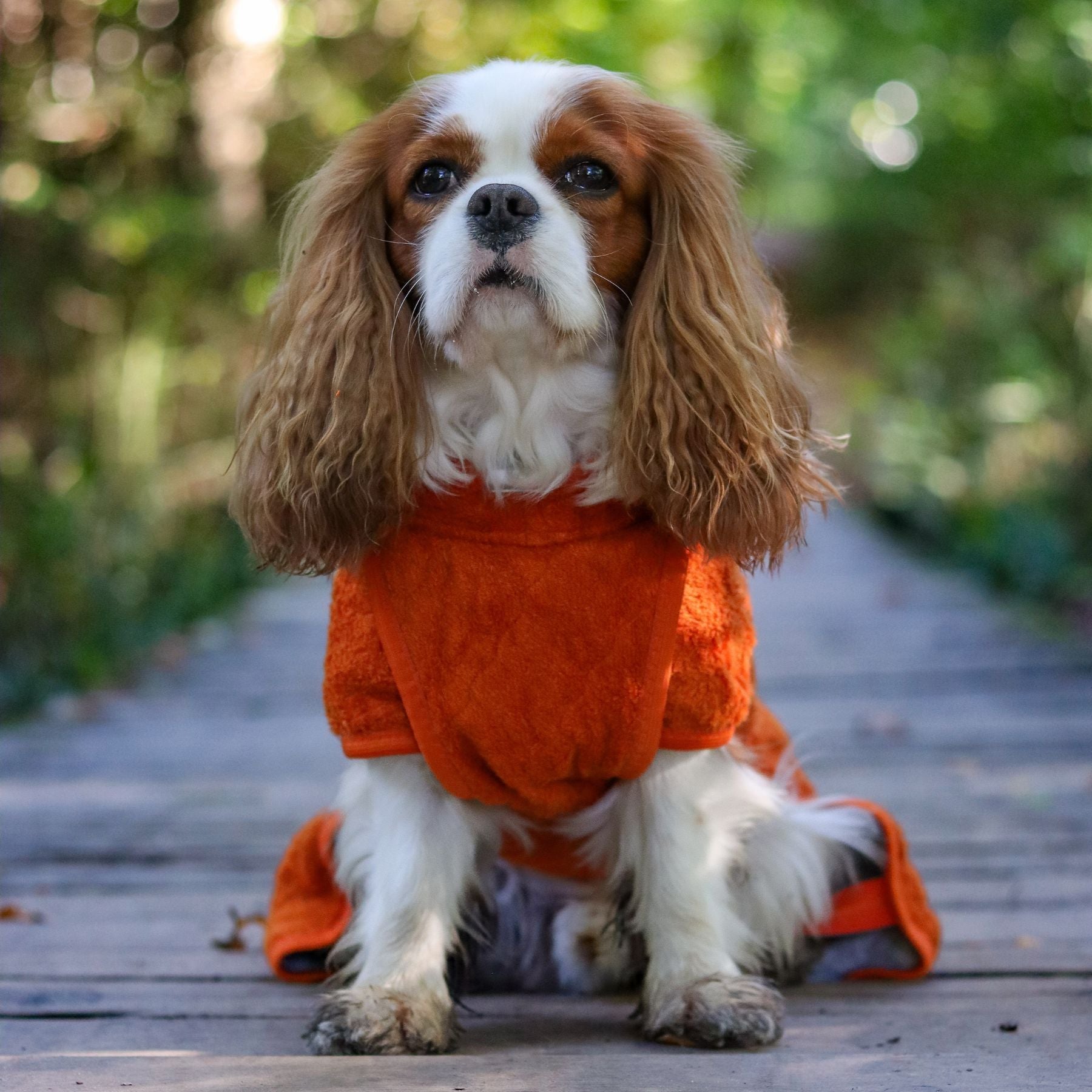 Smart / Tørredragt til hunde / 35