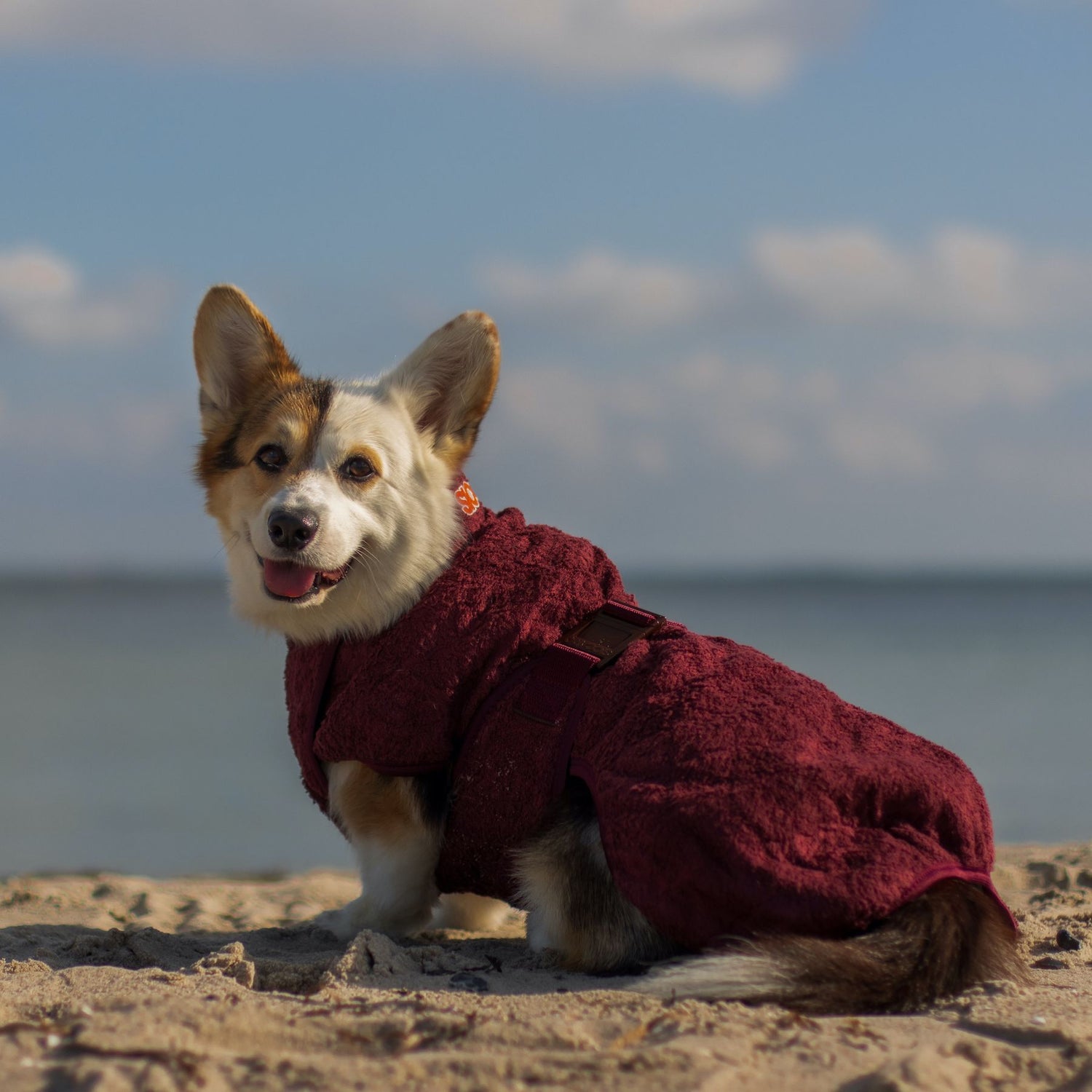 Siccaro Smart / Tørredragt til hunde / 40 Tørredragter