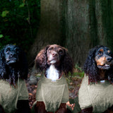 Siccaro Smart / Tørredragt til hunde / 40 Tørredragter