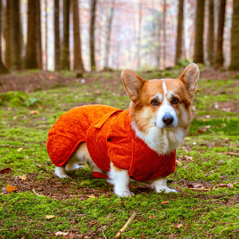 Siccaro Smart / Tørredragt til hunde / 45 Tørredragter