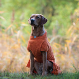 Siccaro Smart / Tørredragt til hunde / 50 Tørredragter