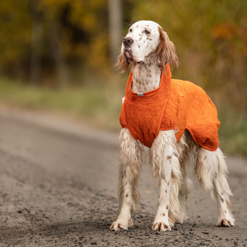Siccaro Smart / Tørredragt til hunde / 55 Tørredragter