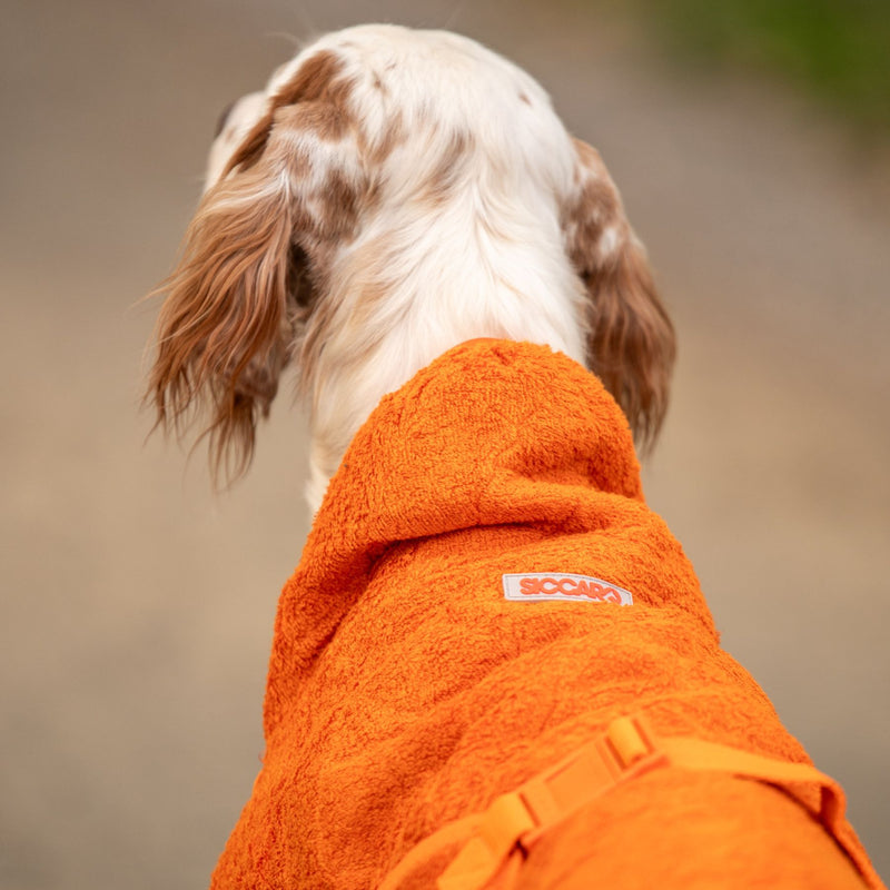 Siccaro Smart / Tørredragt til hunde / 55 Tørredragter