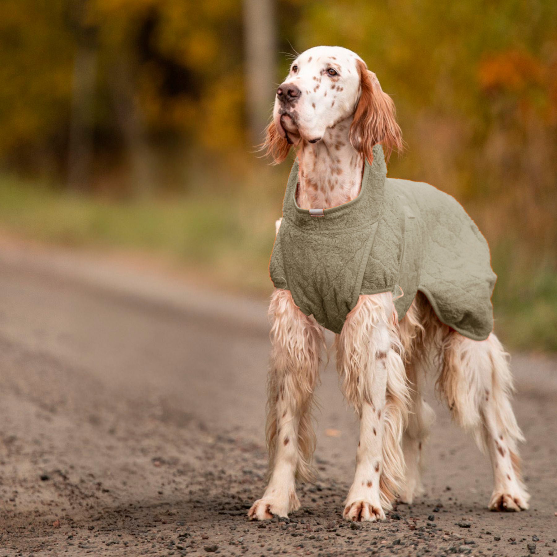Smart / Tørredragt til hunde / 55