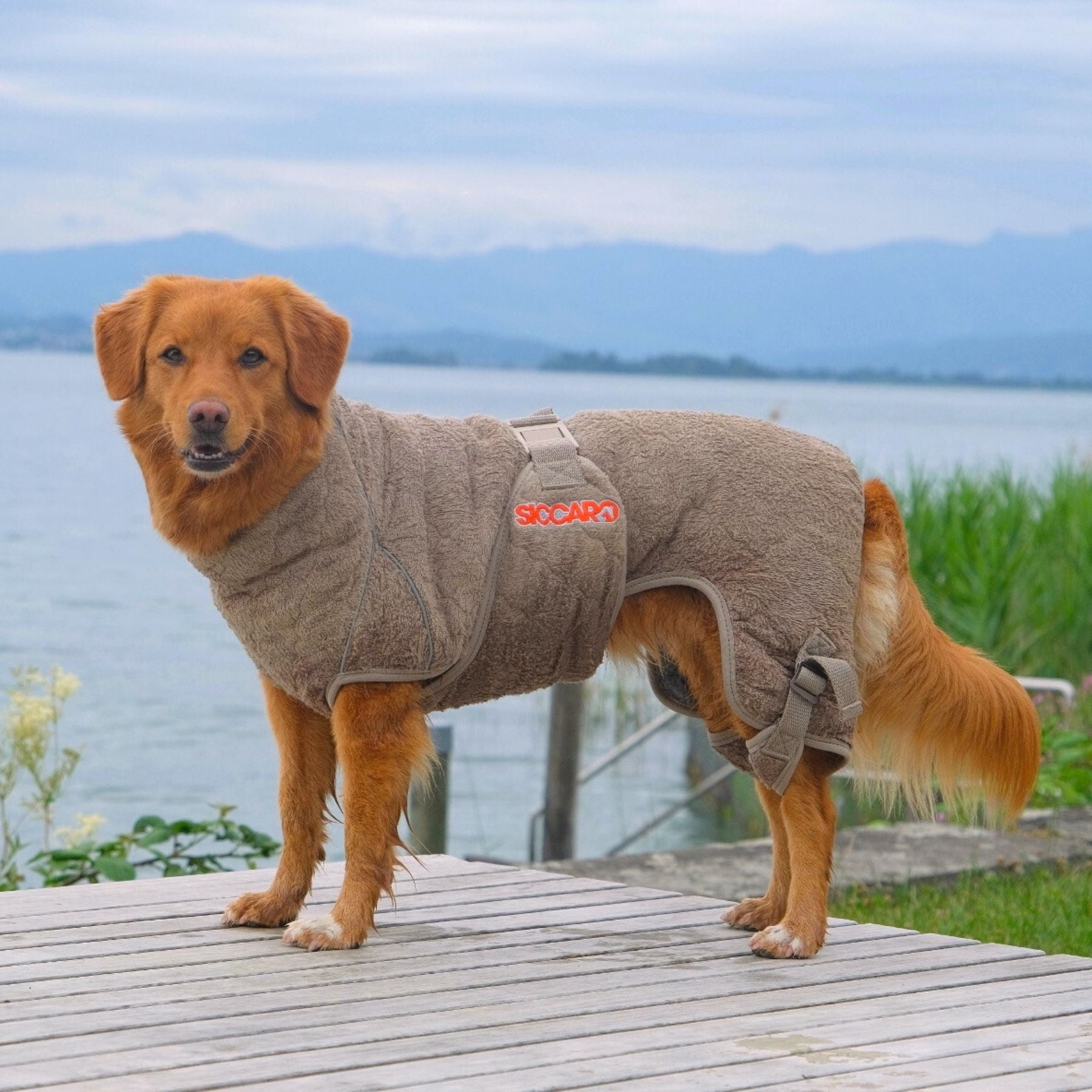 Solution / Tørredragt til hunde / 55