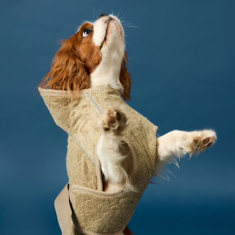 Siccaro Supreme 3.0 / 35 Tørredragter