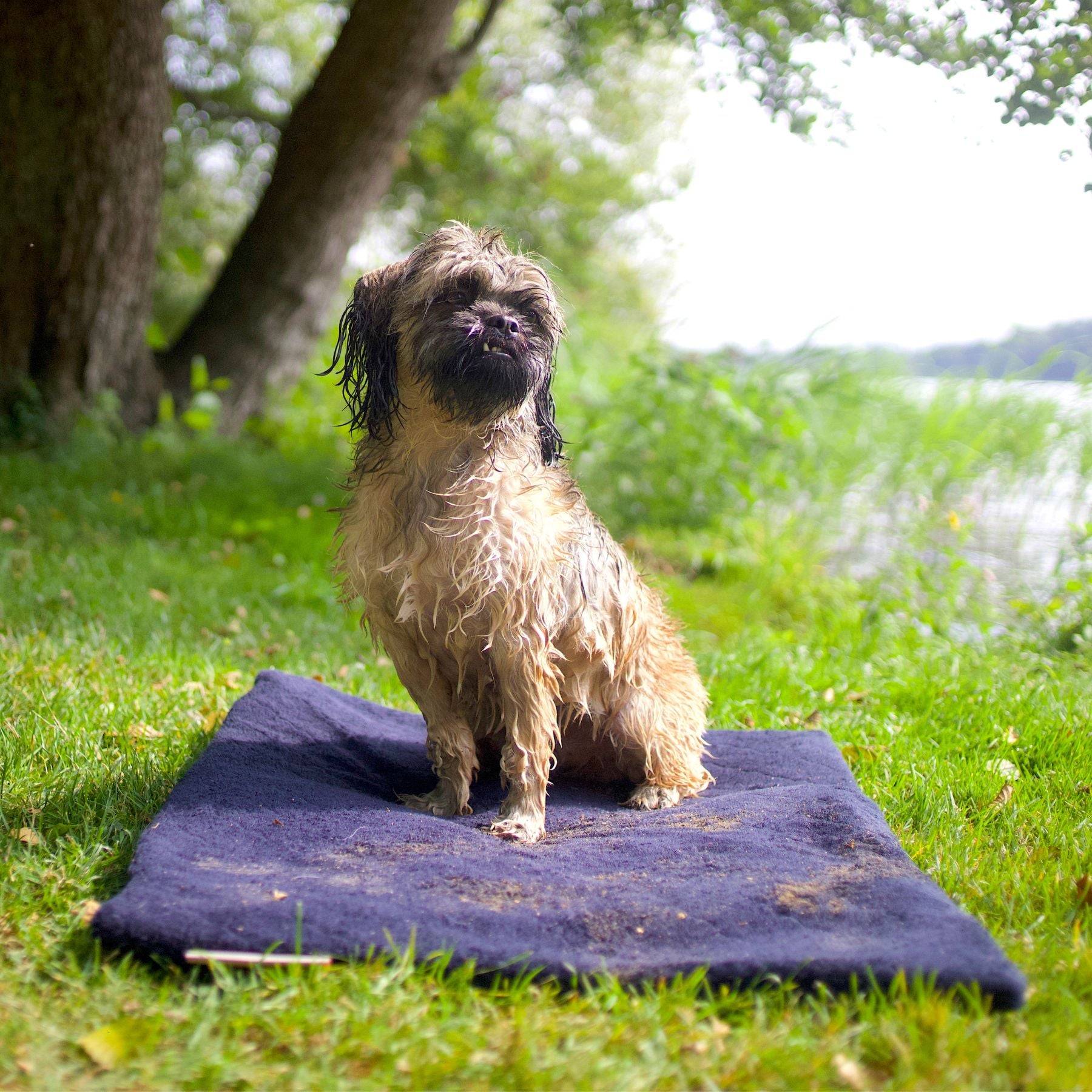 FlexDog tørremåtte / Mini