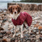 Smart / Tørredragt til hunde / 50